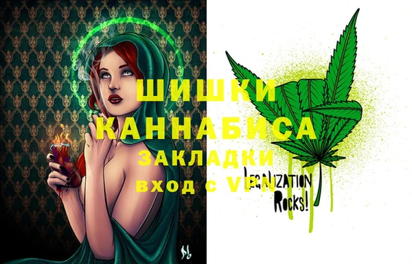 дживик Белокуриха