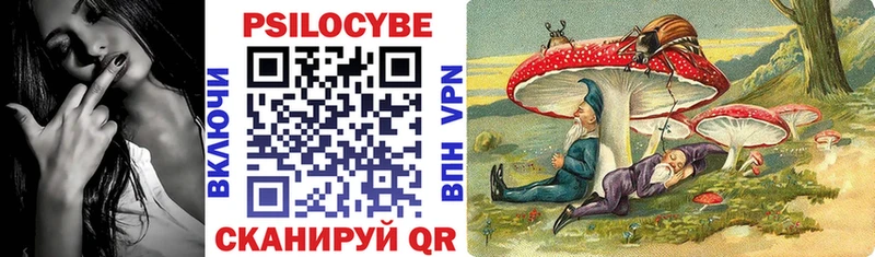 что такое наркотик  ссылка на мегу зеркало  Псилоцибиновые грибы Cubensis  Брюховецкая 